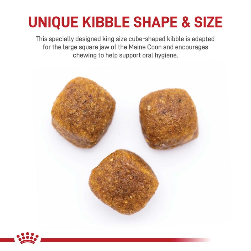 Royal Canin Feline Breed Nutrition Maine Coon Adult Dry Cat Food, 6 lb Bag - Image 2